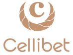 셀리벳 Cellibet